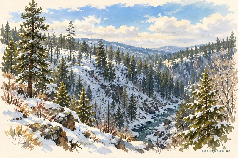Painterly field-guide interpretation of Bear Creek Provincial Park