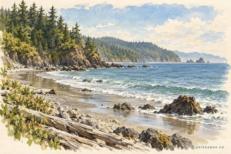 Painterly field-guide interpretation of French Beach Provincial Park