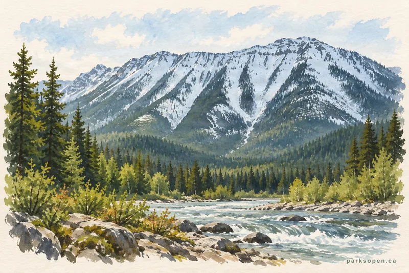 Painterly field-guide interpretation of Mount Fernie Provincial Park